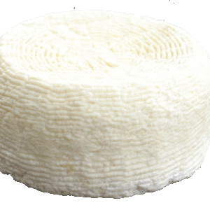 Formaggio Cacioricotta