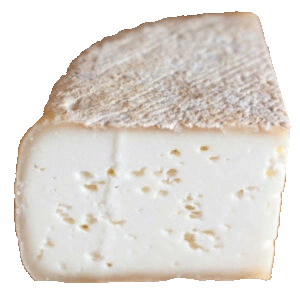 formaggio fresco di capra