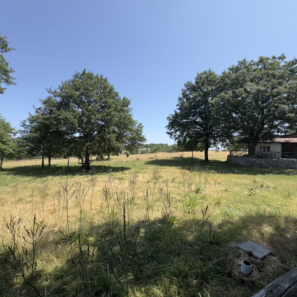 vista frontale